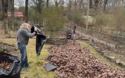 Volunteers help Arkansas neighbor by raking up 80 bags of leaves