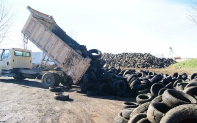 Memphis City Beautiful Commission Gives New Life to Discarded Tires