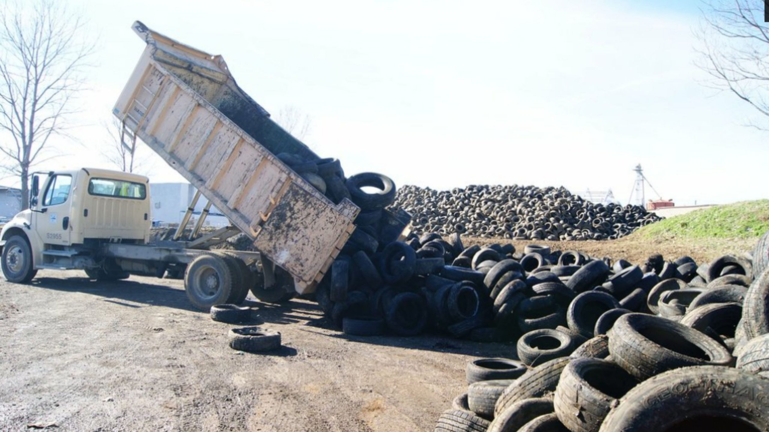 Memphis City Beautiful Commission Gives New Life to Discarded Tires ...