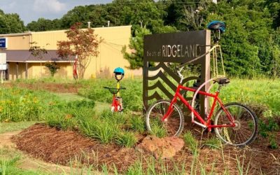 Keep Ridgeland Beautiful Transforms Bland Spaces into Beautiful Places