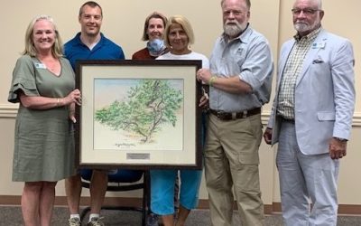 Keep Nassau Beautiful Recognized for Outstanding Urban Forestry Program