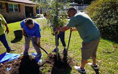 RETREET Restores Greenery and Hope to Orange County, TX with 145 Tree Plantings