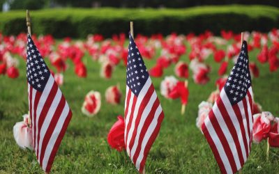 How to Celebrate Memorial Day While Respecting the Environment