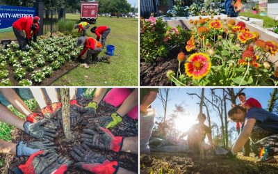 What Do Trees and Litter Have to Do With Climate Week? (Blog)