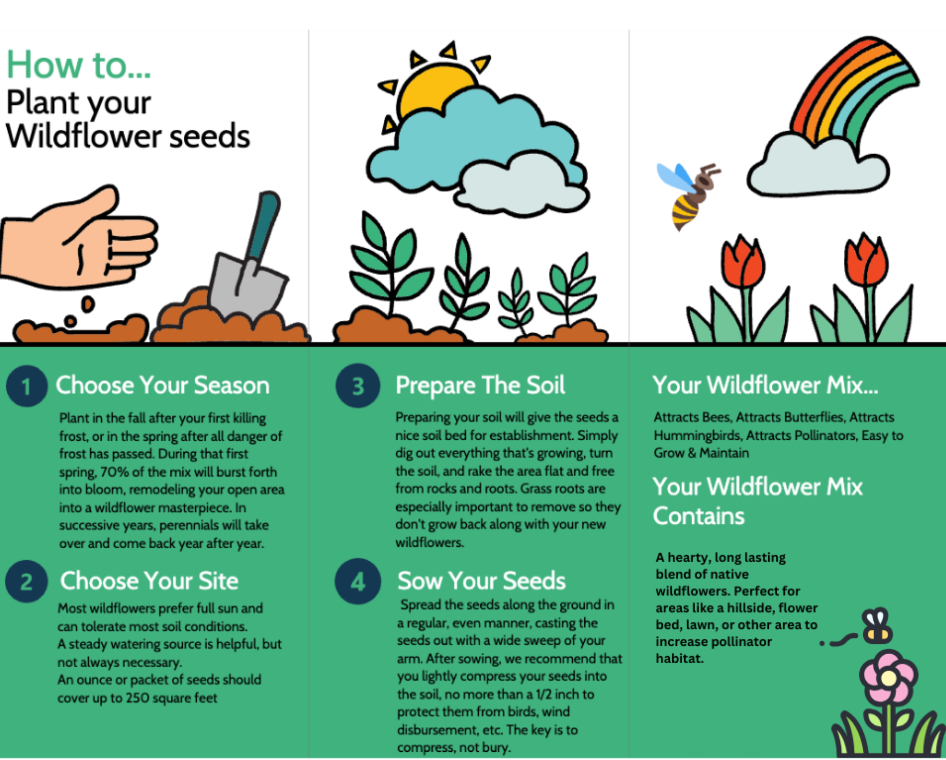 wildflower planting instructions