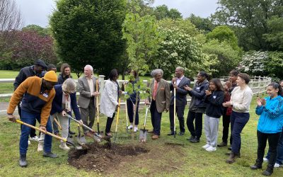Planting the Seeds for a Greener, More Beautiful Norwalk