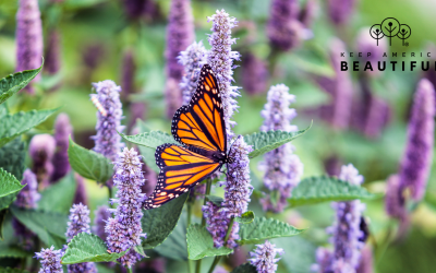 Grow Something Good: Native Plants for People and Pollinators