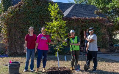 The Home Depot Foundation Funds Keep America Beautiful’s RETREET Program to Replant Trees After Disasters