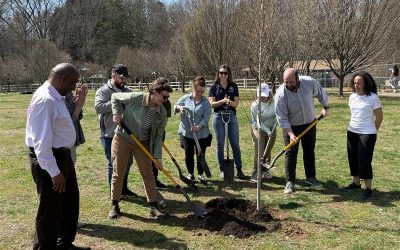 Growing Opportunity and Canopy for a More Beautiful Norwalk