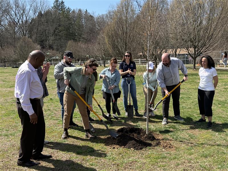 Growing Opportunity and Canopy for a More Beautiful Norwalk