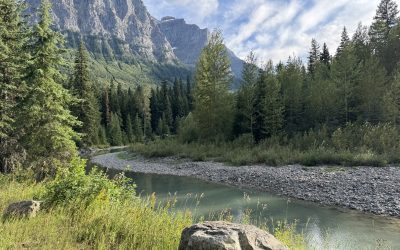Keep America Beautiful Recycling Pilot Shows Strong Results at Grand Teton National Park
